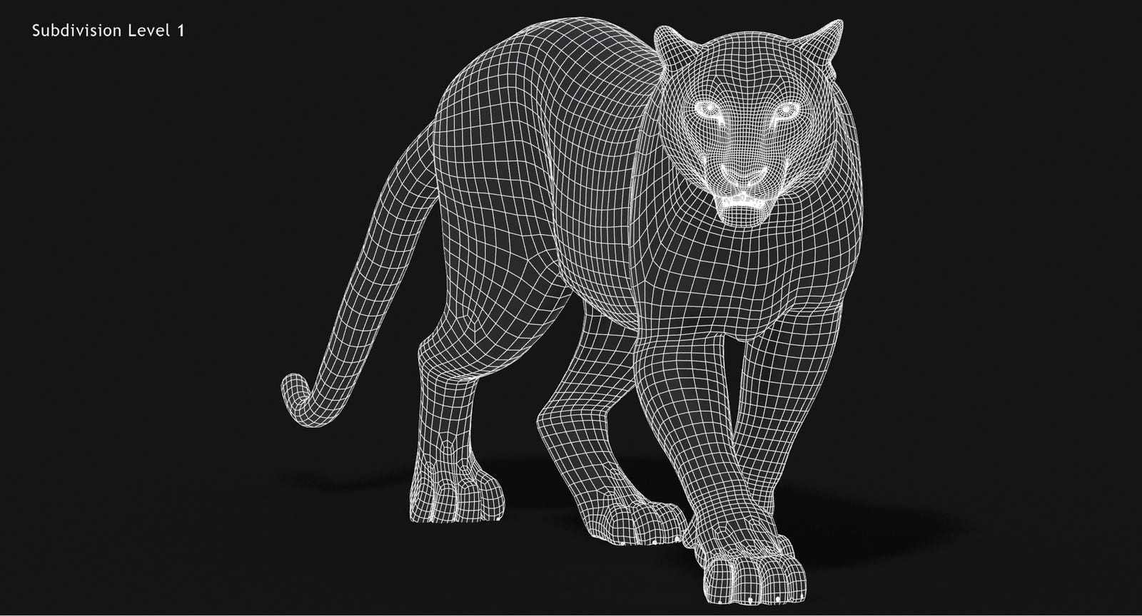 Animated Big Cats 3D Model Fur