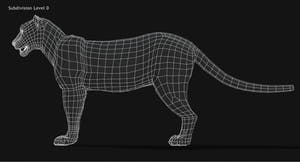 Animated Big Cats 3D Model Fur Thumbnail