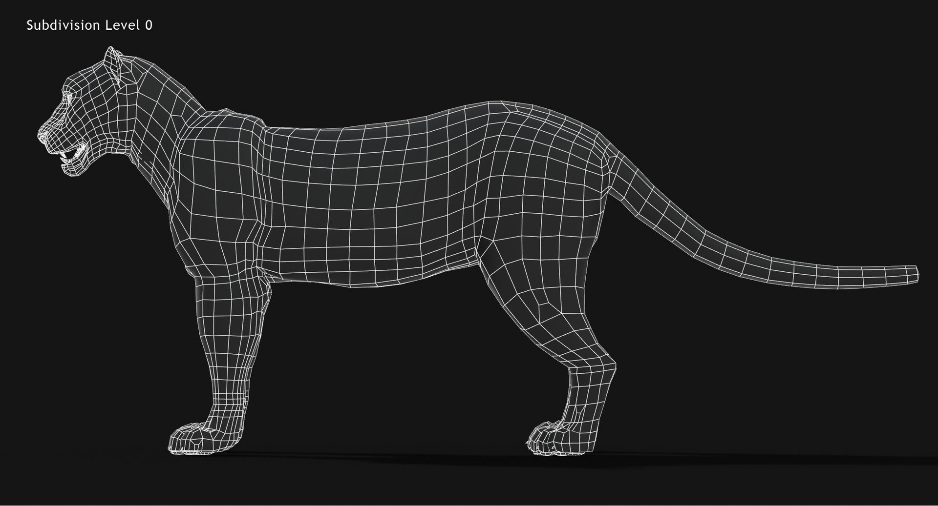 Animated Big Cats 3D Model Fur