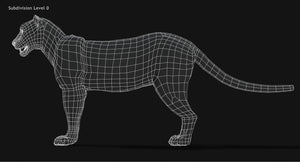 Animated Big Cats 3D Model Fur Thumbnail