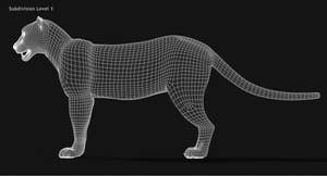 Animated Big Cats 3D Model Fur Thumbnail