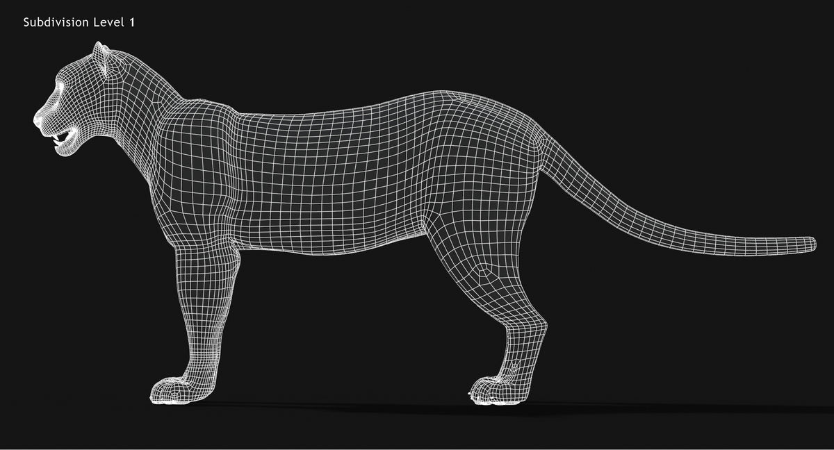 Animated Big Cats 3D Model Fur