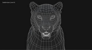 Animated Big Cats 3D Model Fur Thumbnail