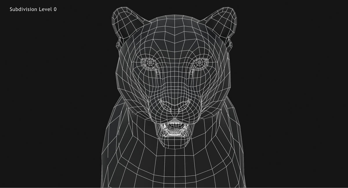 Animated Big Cats 3D Model Fur