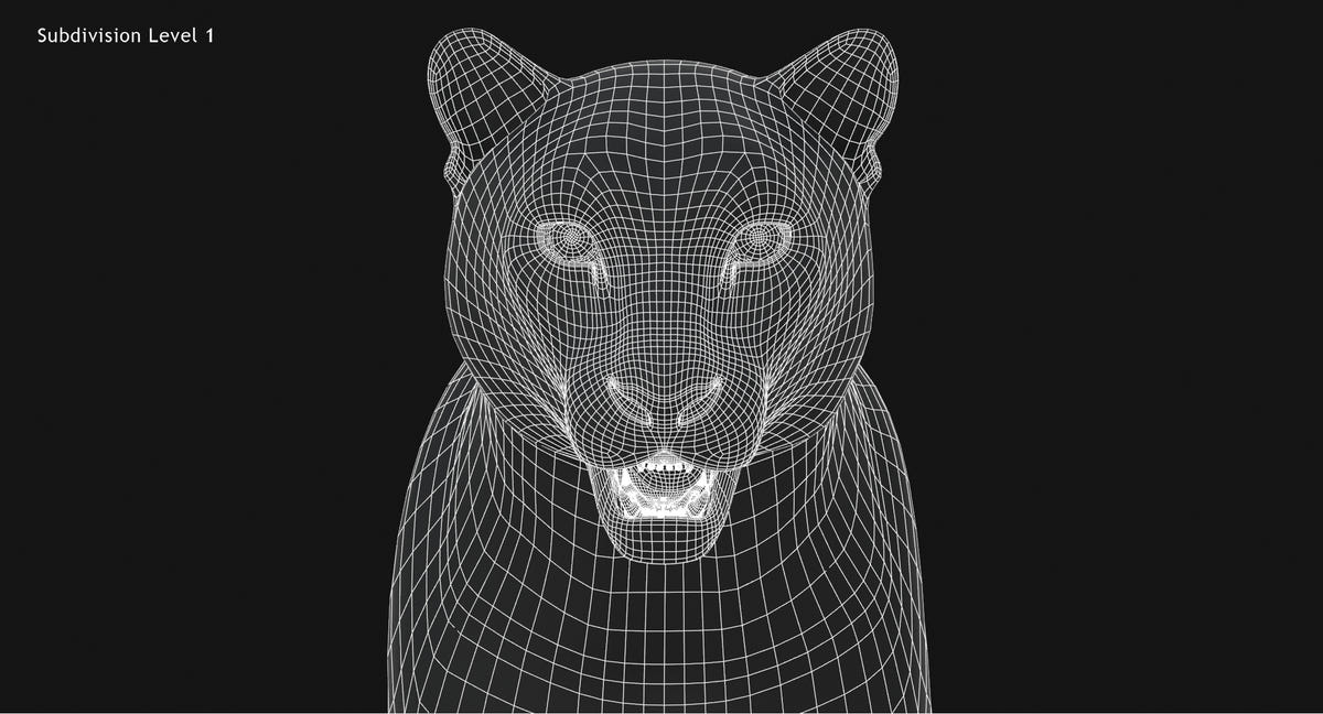 Animated Big Cats 3D Model Fur