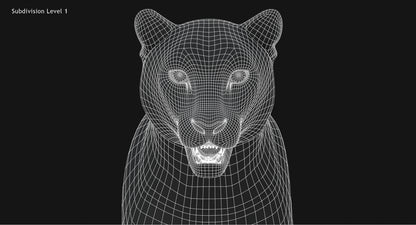 Animated Big Cats 3D Model Fur