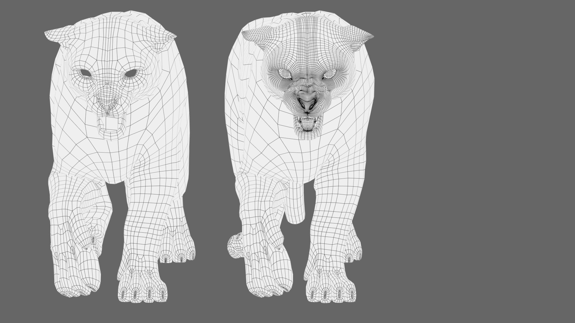Animated Snow Leopard 3D Model -Wireframe View Subdivision Level 0