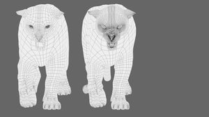 Animated Snow Leopard 3D Model -Wireframe View Subdivision Level 0 Thumbnail