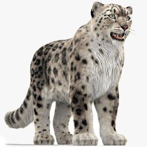 Snow Leopard 3D Model with Ornatrix Fur Thumbnail