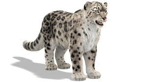 Snow Leopard 3D Model with Ornatrix Fur Thumbnail
