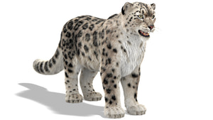 Snow Leopard 3D Model with Ornatrix Fur Thumbnail
