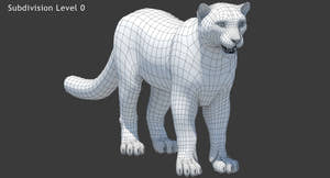 Snow Leopard 3D Model Wireframe View Subdivision Level 0 Thumbnail
