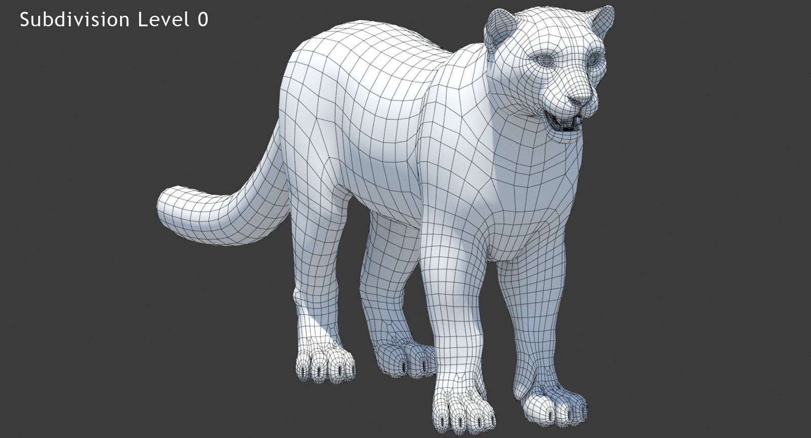 Snow Leopard 3D Model Wireframe View Subdivision Level 0