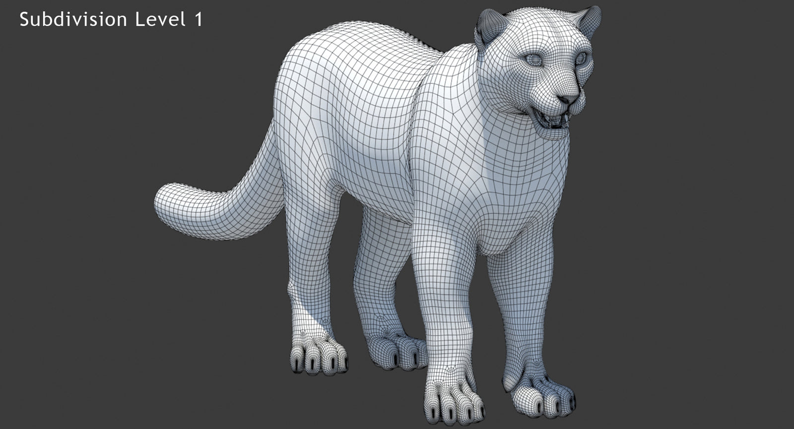 Snow Leopard 3D Model Wireframe View Subdivision Level 1