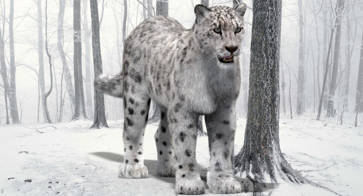 Snow Leopard 3D Model with Fur