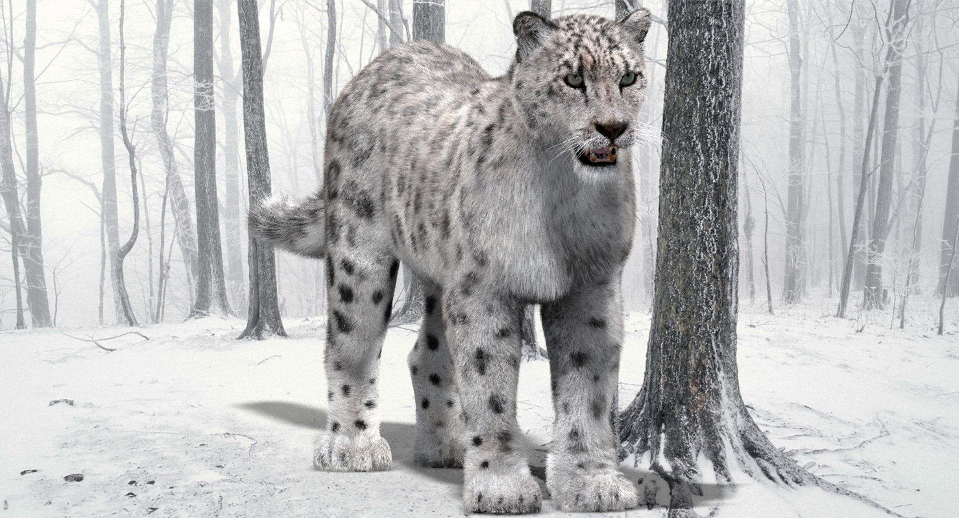 Snow Leopard 3D Model with Fur