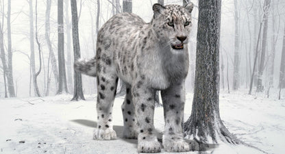 Snow Leopard 3D Model with Fur