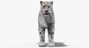 Snow Leopard 3D Model with Fur Thumbnail
