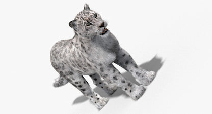 Snow Leopard 3D Model with Fur