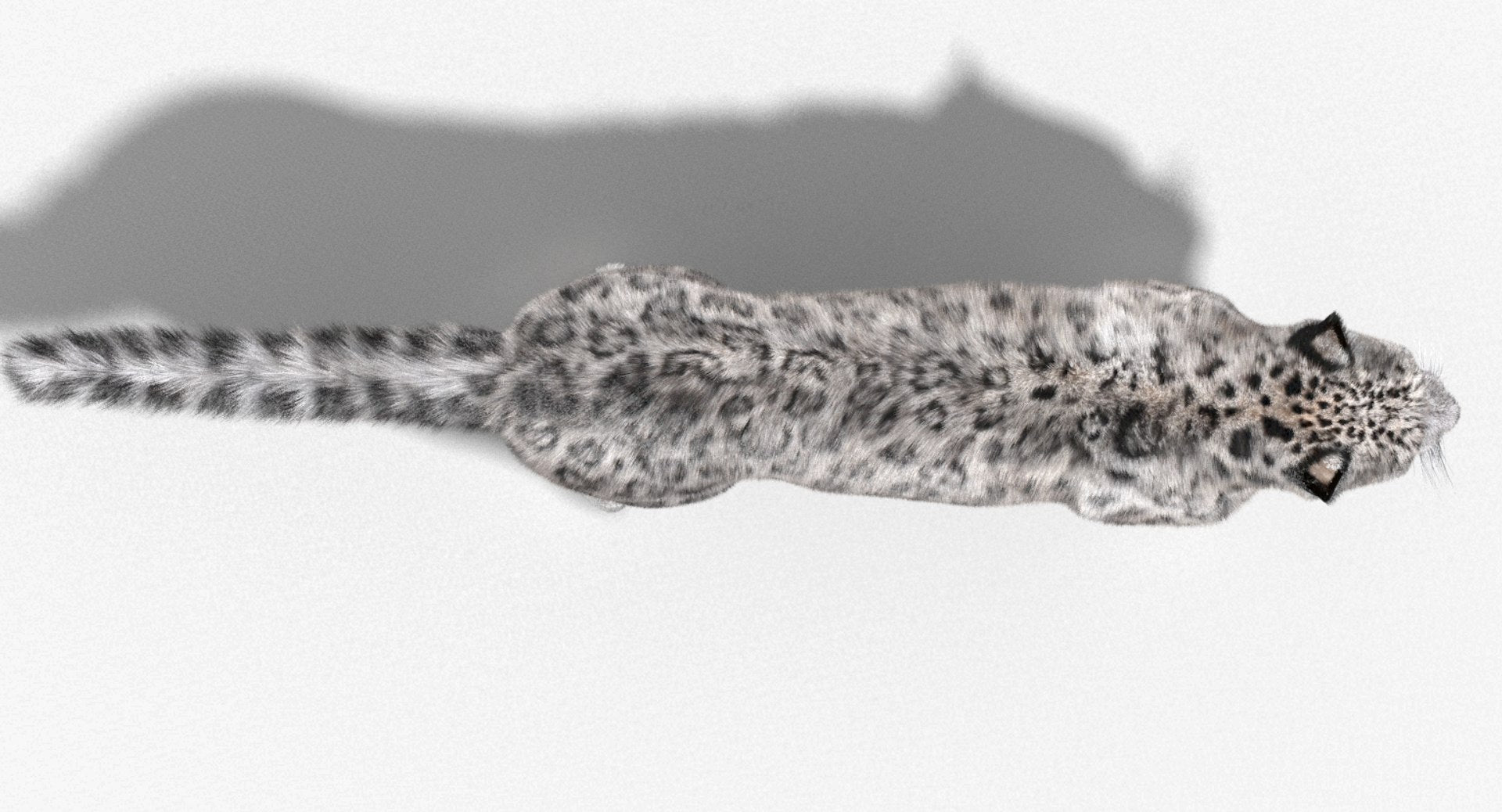 Snow Leopard 3D Model with Fur