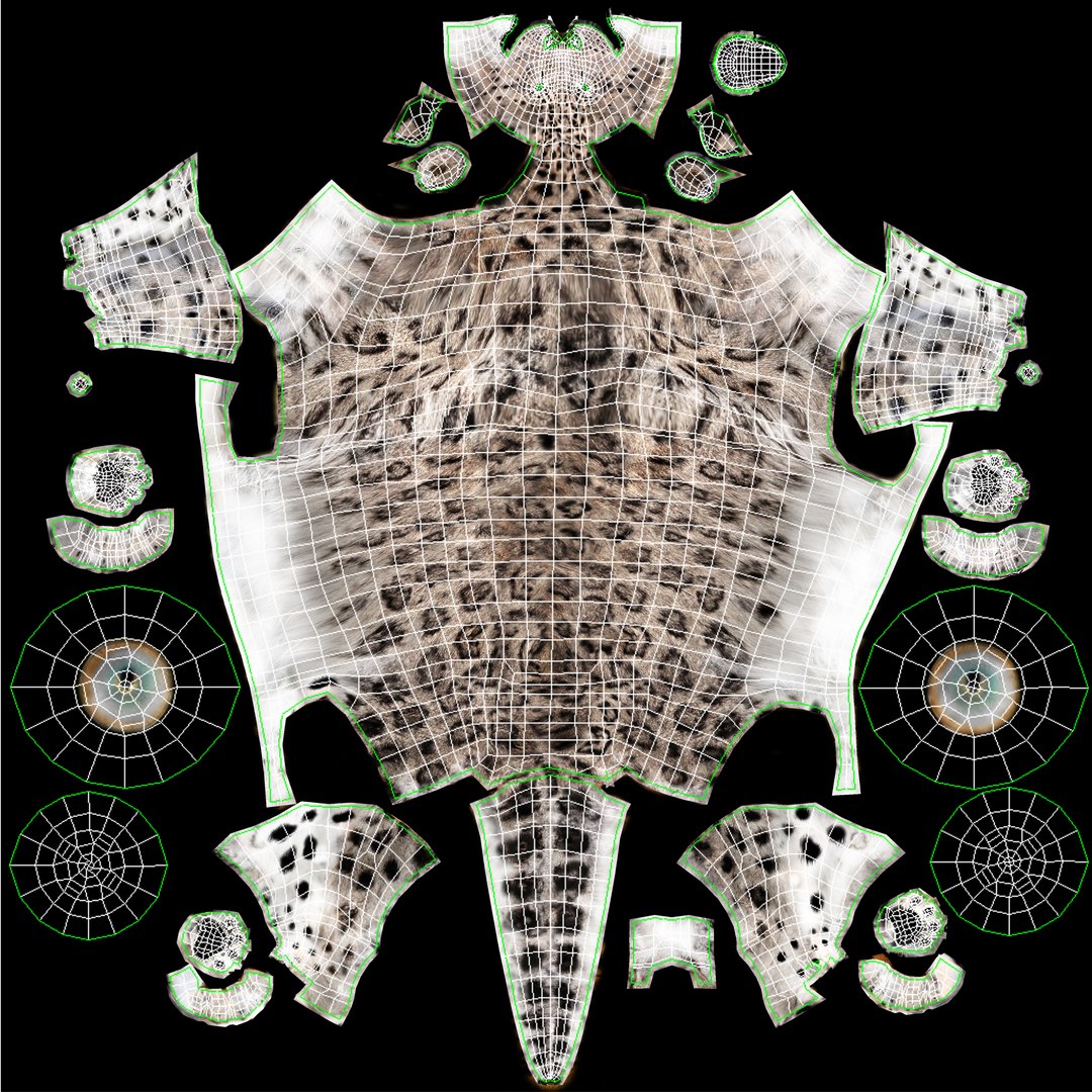 Snow Leopard 3D Model Body UVs