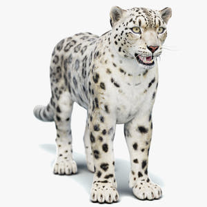 Static Snow Leopard 3D Model — Game-Ready, 8K PBR Thumbnail
