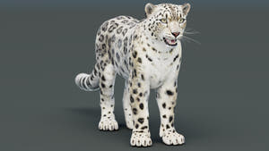 Static Snow Leopard 3D Model — Game-Ready, 8K PBR Thumbnail