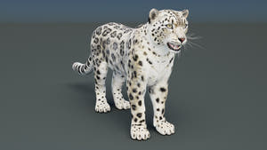 Static Snow Leopard 3D Model — Game-Ready, 8K PBR Thumbnail