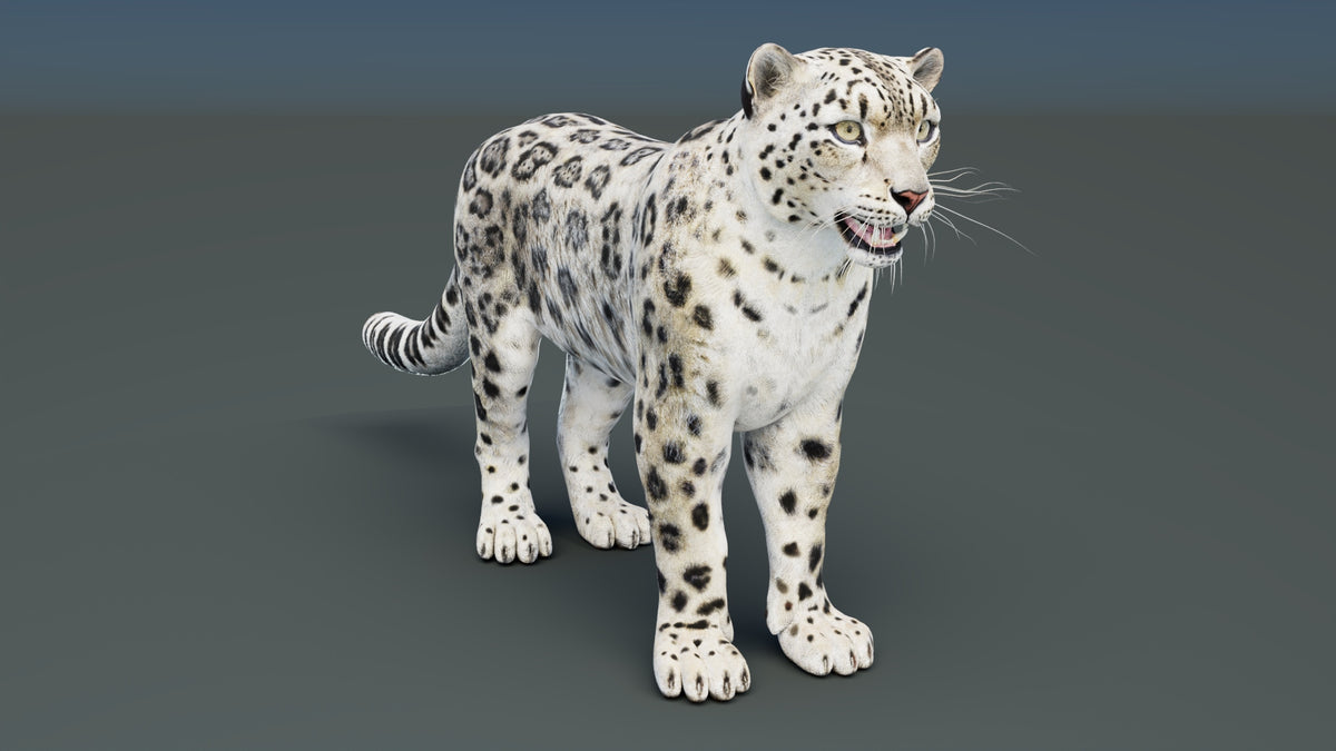 Static Snow Leopard 3D Model — Game-Ready, 8K PBR