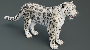 Static Snow Leopard 3D Model — Game-Ready, 8K PBR Thumbnail