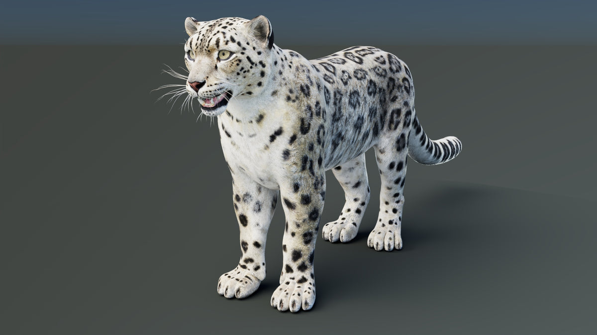 Static Snow Leopard 3D Model — Game-Ready, 8K PBR