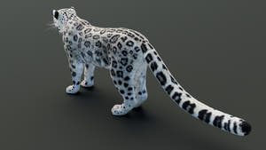 Static Snow Leopard 3D Model — Game-Ready, 8K PBR Thumbnail