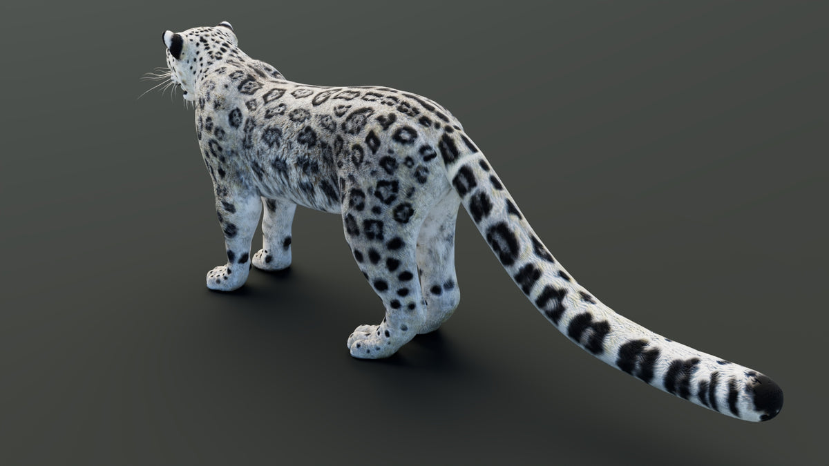 Static Snow Leopard 3D Model — Game-Ready, 8K PBR