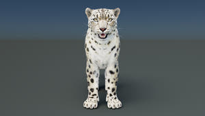 Static Snow Leopard 3D Model — Game-Ready, 8K PBR Thumbnail
