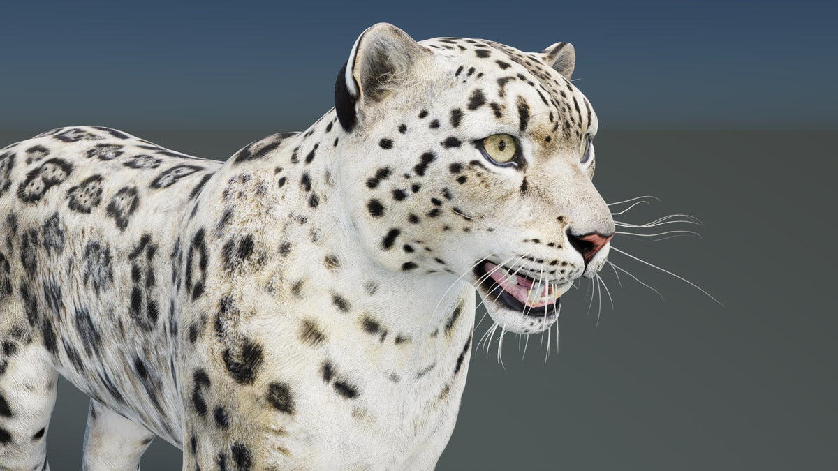 Static Snow Leopard 3D Model — Game-Ready, 8K PBR