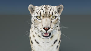 Static Snow Leopard 3D Model — Game-Ready, 8K PBR Thumbnail
