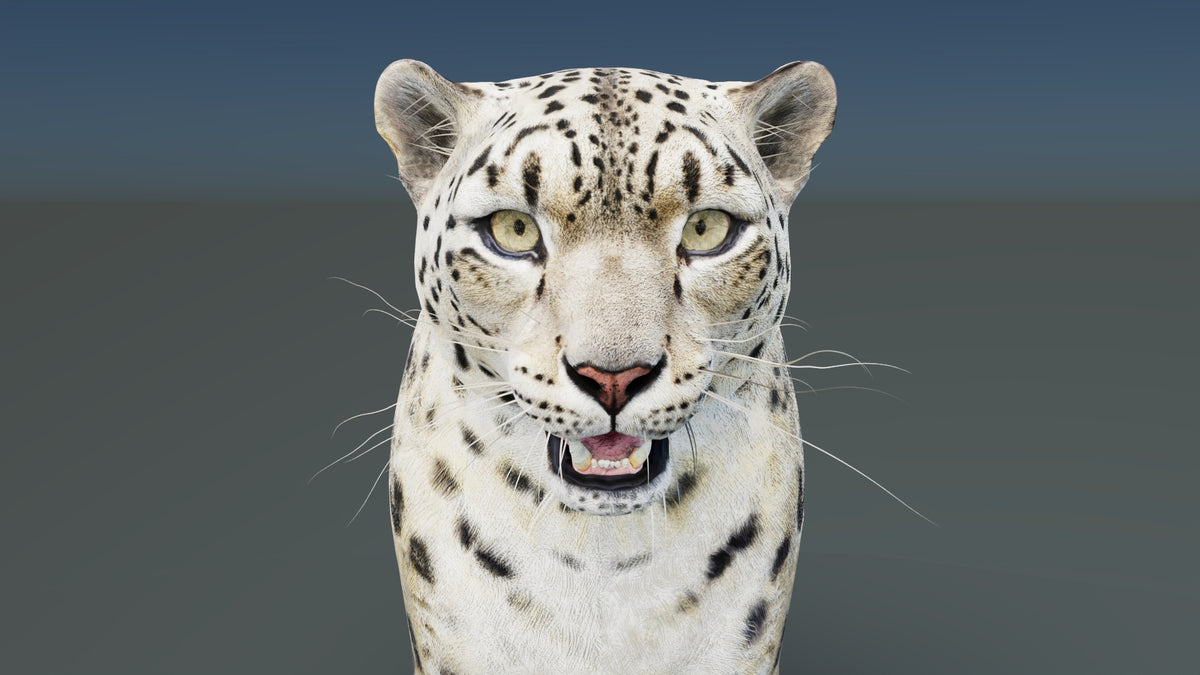 Static Snow Leopard 3D Model — Game-Ready, 8K PBR