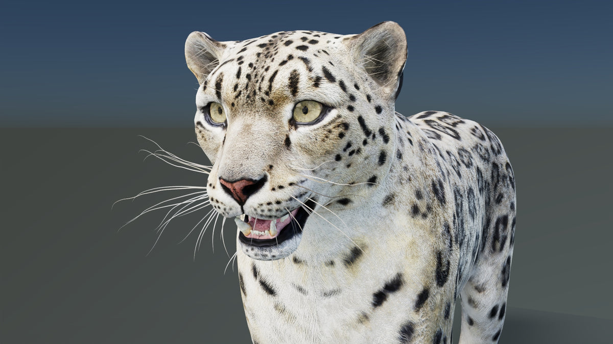 Static Snow Leopard 3D Model — Game-Ready, 8K PBR