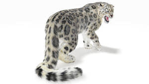 Snow Leopard 3D Model Rendered with Autodesk 3ds Max Mental Ray Thumbnail