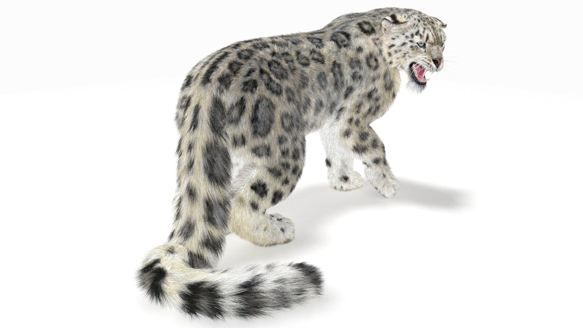 Snow Leopard 3D Model Rendered with Autodesk 3ds Max Mental Ray