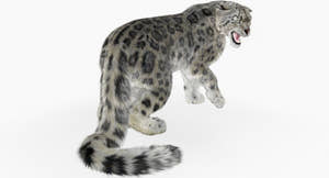 Snow Leopard 3D Model Rendered with Autodesk 3ds Max Scanline Renderer Thumbnail