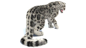 Rigged Snow Leopard 3D Model with Fur Thumbnail