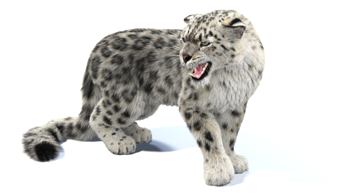 Rigged Snow Leopard 3D Model with Fur