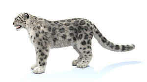 Rigged Snow Leopard 3D Model with Fur Thumbnail