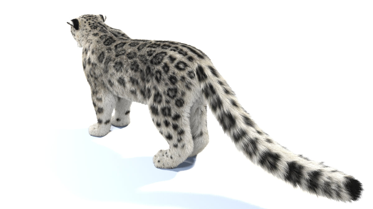 Rigged Snow Leopard 3D Model with Fur