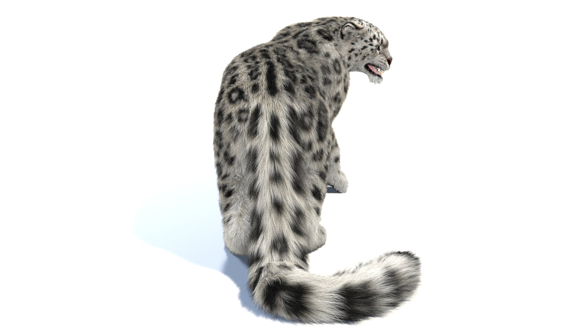 Rigged Snow Leopard 3D Model with Fur