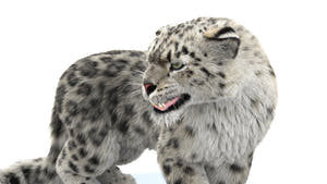 Rigged Snow Leopard 3D Model with Fur Thumbnail