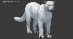 Snow Leopard 3D Model Wireframe View Subdivision 1 Thumbnail