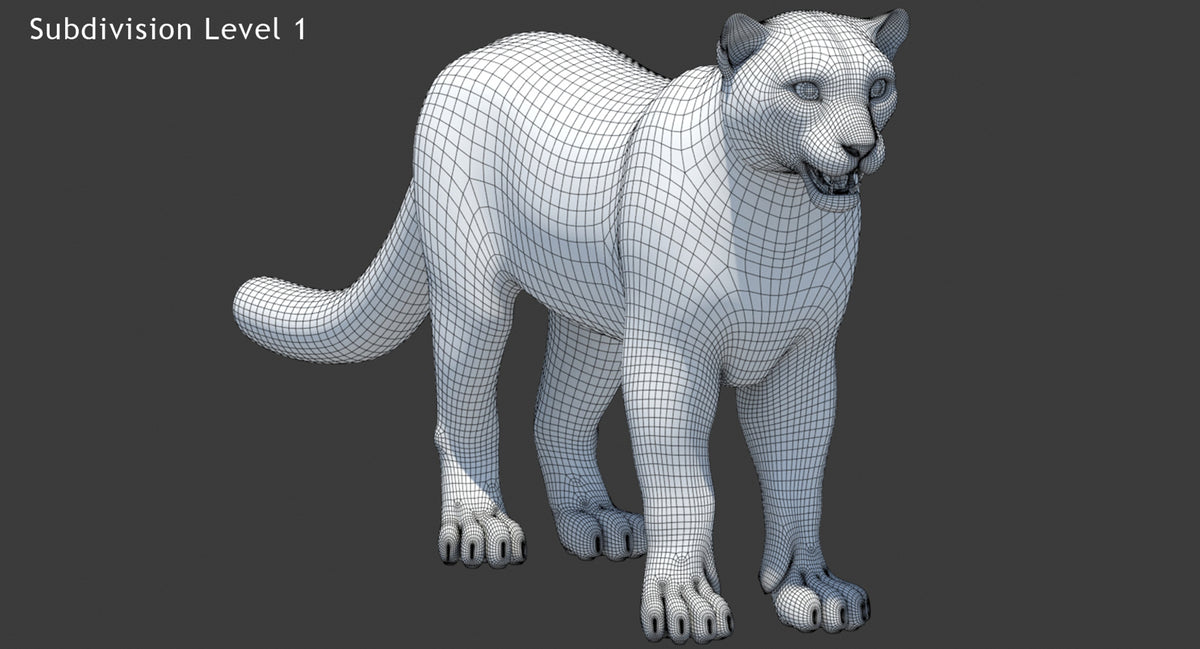 Snow Leopard 3D Model Wireframe View Subdivision 1