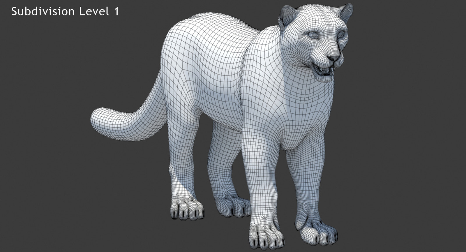 Snow Leopard 3D Model Wireframe View Subdivision 1